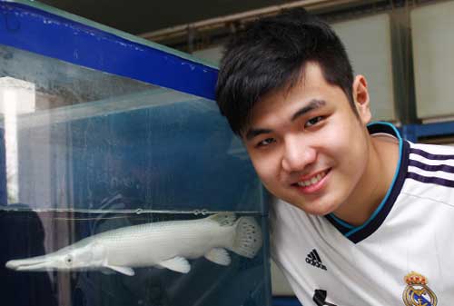 Kisah Sukses Nicholas Kurniawan, Pengusaha Ikan Hias 01 - Finansialku
