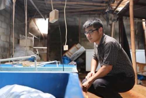 Kisah Sukses Nicholas Kurniawan, Pengusaha Ikan Hias 03 - Finansialku