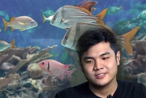 Kisah Sukses Nicholas Kurniawan, Pengusaha Ikan Hias 04 - Finansialku