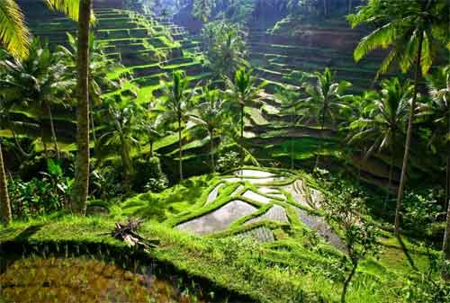 10 Kota Terindah di Indonesia yang Perlu Anda Kunjungi 06 - Finansialku