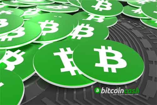 Cryptocurrency Paling Top 04 Bitcoin Cash - Finansialku