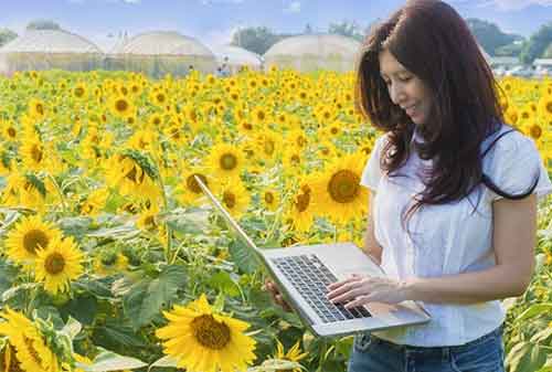 Marketplace Pertanian 02 Jual Beli Online Pertanian - Finansialku