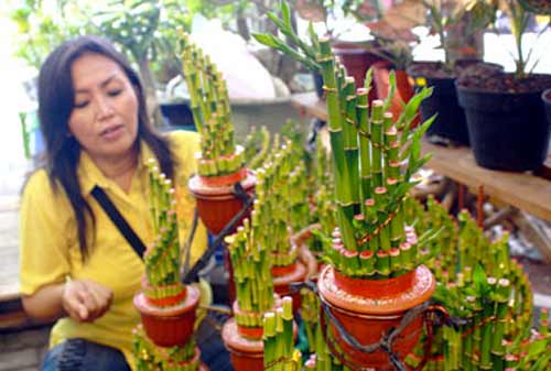 10-Ide-Peluang-Bisnis-Imlek-3-Finansialku