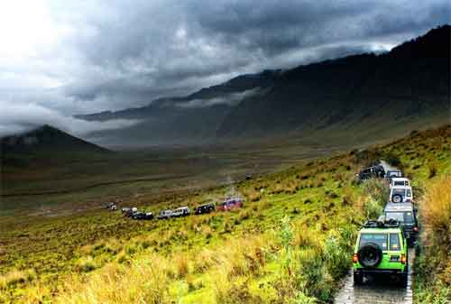 Paket Wisata Bromo 11 Padang Rumput Savana - Finansialku