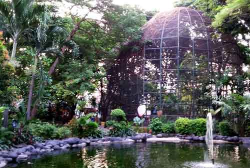 Taman di Surabaya 04 - Taman Flora Bratang