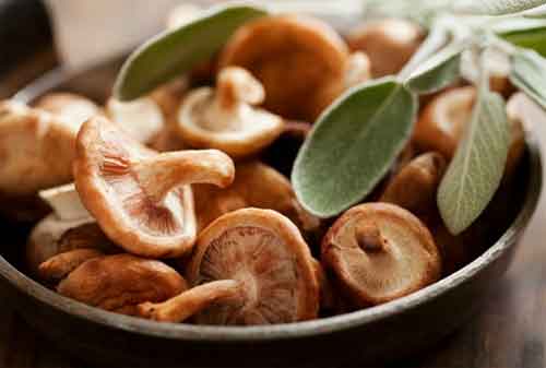 Mau Sehat Ada 10 Makanan Diet Murah Meriah 01 - Finansialku