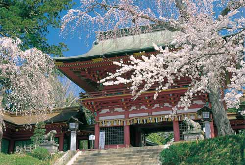 Shiogama-Jinja-22-Finansialku