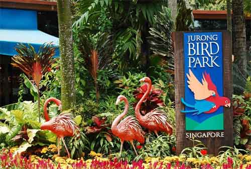 Tempat Wisata di Singapura 38 Jurong Bird Park - Finansialku