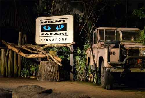 Tempat Wisata di Singapura 43 Singapore Night Safari - Finansialku