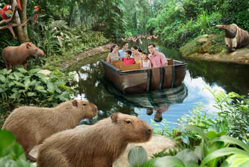 Tempat Wisata di Singapura 45 River Safari Wildlife Park - Finansialku