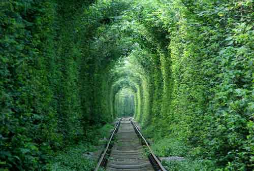 Keren, Bukan Editan! Ini 10+ Tempat Wisata Unik di Dunia 06 Tunnel Love - Finansialku