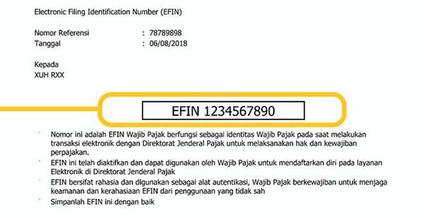 E-Filing Lapor SPT Online Mudah Apabila Sudah Memiliki EFIN 03 Contoh EFIN - Finansialku