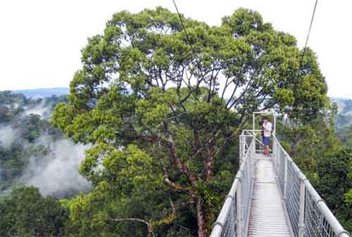 Destinasi Wisata Brunei Darussalam 03 Ulu Temburong - Finansialku