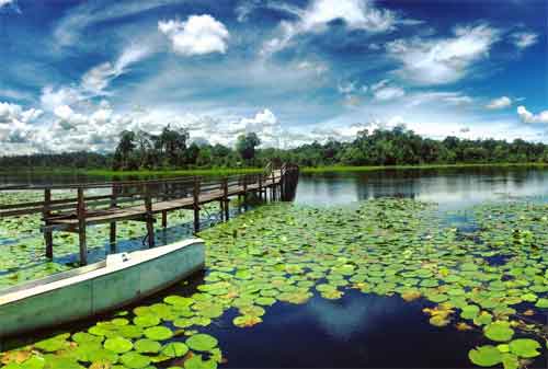Destinasi Wisata Brunei Darussalam 05 Danau Tasek Merimbun - Finansialku